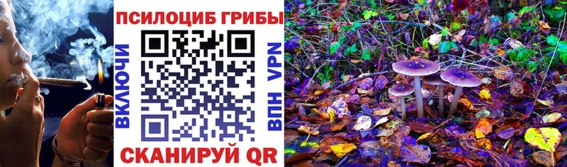 Галлюциногенные грибы мицелий  даркнет сайт  KRAKEN сайт  Тулун 