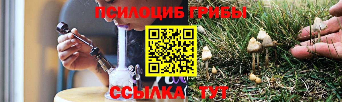Псилоцибиновые грибы GOLDEN TEACHER  Тулун  Галлюциногенные грибы Magic Shrooms 
