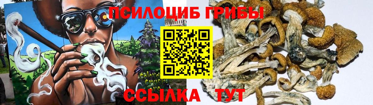 Галлюциногенные грибы Psilocybine cubensis  Вход с VPN  Тулун 